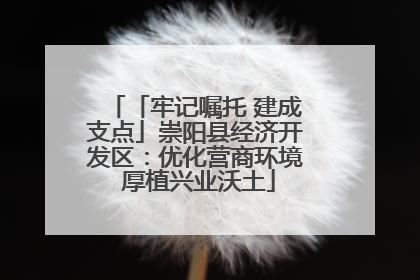 「牢记嘱托 建成支点」崇阳县经济开发区：优化营商环境 厚植兴业沃土
