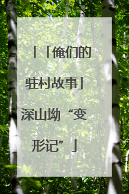 「俺们的驻村故事」深山坳“变形记”