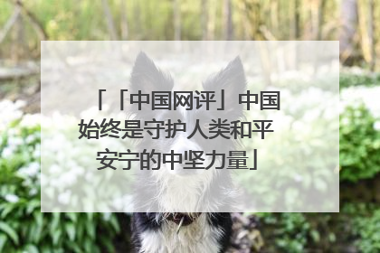 「中国网评」中国始终是守护人类和平安宁的中坚力量