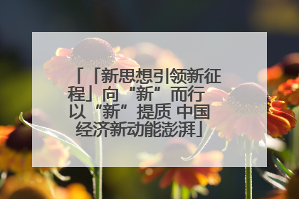 「新思想引领新征程」向“新”而行 以“新”提质 中国经济新动能澎湃