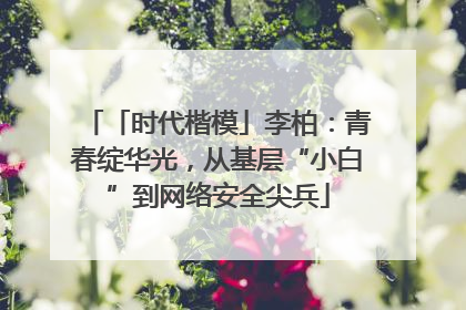 「时代楷模」李柏：青春绽华光，从基层“小白”到网络安全尖兵