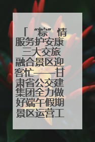 “粽”情服务护安康 三大交旅融合景区迎客忙——甘肃省公交建集团全力做好端午假期景区运营工作