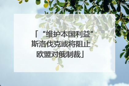 “维护本国利益” 斯洛伐克或将阻止欧盟对俄制裁