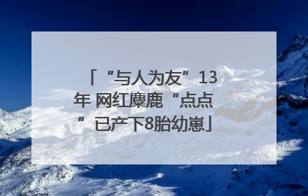 “与人为友”13年 网红麋鹿“点点”已产下8胎幼崽