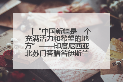 “中国新疆是一个充满活力和希望的地方”——印度尼西亚北苏门答腊省伊斯兰教代表团参访新疆