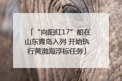 “向阳红17”船在山东青岛入列 开始执行黄渤海浮标任务