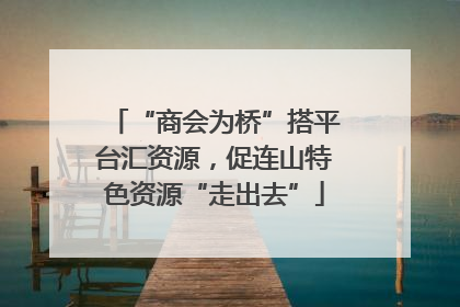 “商会为桥”搭平台汇资源，促连山特色资源“走出去”