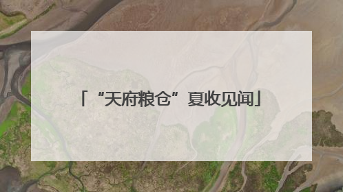 “天府粮仓”夏收见闻