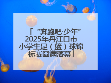 “奔跑吧·少年”2025年丹江口市小学生足（篮）球锦标赛圆满落幕