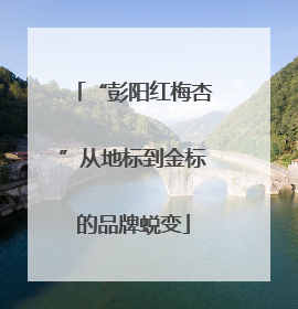 “彭阳红梅杏”从地标到金标的品牌蜕变