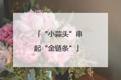 “小蒜头”串起“金链条”