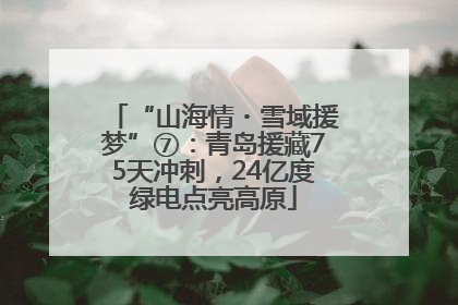“山海情・雪域援梦”⑦：青岛援藏75天冲刺，24亿度绿电点亮高原