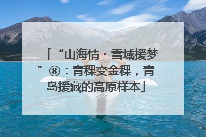 “山海情・雪域援梦”⑧：青稞变金稞，青岛援藏的高原样本