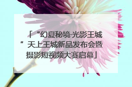 “幻夏秘境·光影王城”天上王城新品发布会暨摄影短视频大赛启幕