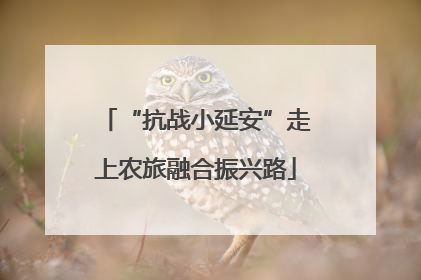 “抗战小延安”走上农旅融合振兴路