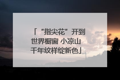“指尖花”开到世界橱窗 小凉山千年纹样绽新色