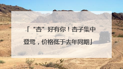 “杏”好有你！杏子集中登鹭，价格低于去年同期