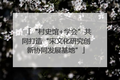 “村史馆+学会”共同打造“宋文化研究创新协同发展基地”