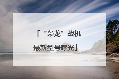 “枭龙”战机最新型号曝光