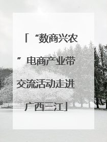 “数商兴农”电商产业带交流活动走进广西三江