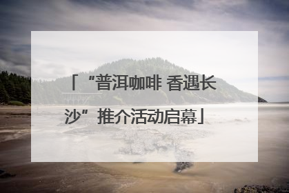 “普洱咖啡 香遇长沙”推介活动启幕