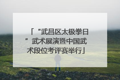 “武昌区太极拳日”武术展演暨中国武术段位考评赛举行
