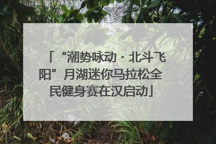 “潮势咏动・北斗飞阳”月湖迷你马拉松全民健身赛在汉启动