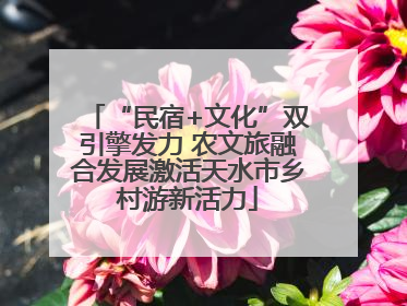 “民宿+文化”双引擎发力 农文旅融合发展激活天水市乡村游新活力