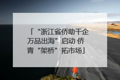 “浙江省侨助千企万品出海”启动 侨青“架桥”拓市场