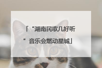 “湖南民歌几好听”音乐会燃动星城