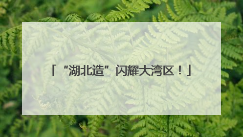 “湖北造”闪耀大湾区！