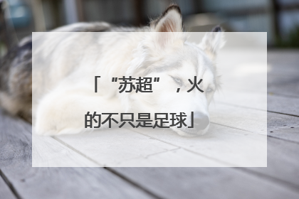 “苏超”，火的不只是足球