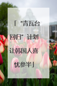 “青瓦台回归”计划让韩国人喜忧参半