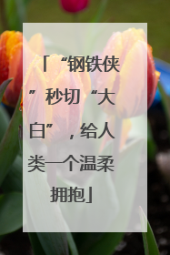 “钢铁侠”秒切“大白”，给人类一个温柔拥抱