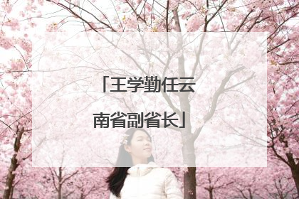 王学勤任云南省副省长