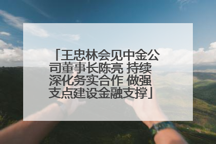 王忠林会见中金公司董事长陈亮 持续深化务实合作 做强支点建设金融支撑