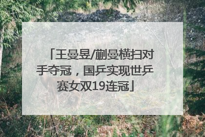 王曼昱/蒯曼横扫对手夺冠，国乒实现世乒赛女双19连冠