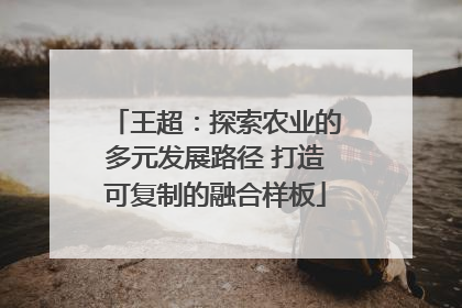 王超：探索农业的多元发展路径 打造可复制的融合样板