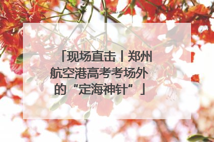 现场直击丨郑州航空港高考考场外的“定海神针”