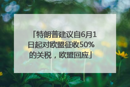 特朗普建议自6月1日起对欧盟征收50%的关税，欧盟回应