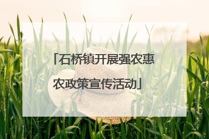 石桥镇开展强农惠农政策宣传活动