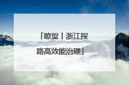 瞭望丨浙江探路高效能治理