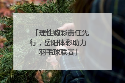 理性购彩责任先行，岳阳体彩助力羽毛球联赛