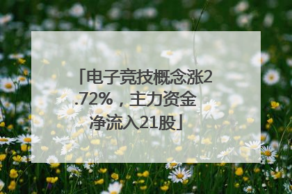 电子竞技概念涨2.72%，主力资金净流入21股