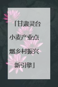 甘肃灵台小麦产业点燃乡村振兴新引擎