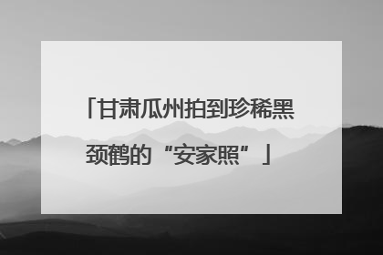 甘肃瓜州拍到珍稀黑颈鹤的“安家照”