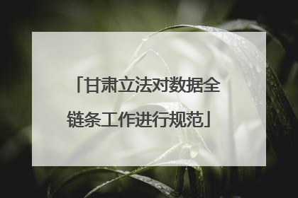 甘肃立法对数据全链条工作进行规范