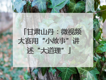 甘肃山丹：微视频大赛用“小故事”讲述“大道理”