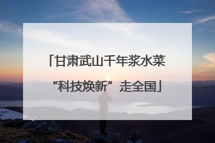 甘肃武山千年浆水菜“科技焕新”走全国