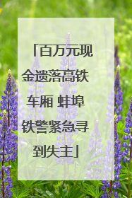 百万元现金遗落高铁车厢 蚌埠铁警紧急寻到失主